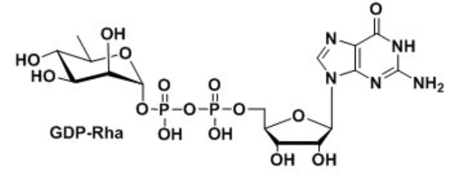 二磷酸鸟嘌呤核苷标记鼠李糖，GDP-D-Rhamnose，GDP-D-鼠李糖