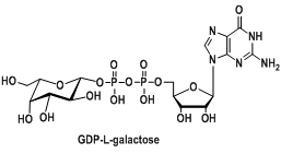 核苷酸标记半乳糖，尿苷二磷酸修饰半乳糖，GDP-L-半乳糖，GDP-L-galactose，CAS:16689-00-2