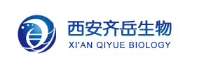 寡聚乳酸-g-壳聚糖 寡聚乳酸-g-壳聚糖