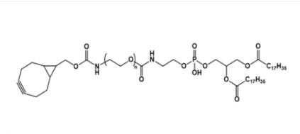 BCN-PEG-DSPE BCN-PEG-DSPE