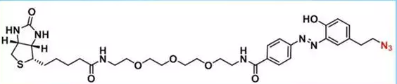 重氮生物素-三聚乙二醇-叠氮化物
