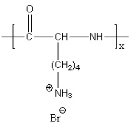PLE-PEG-PLE PLE-PEG-PLE