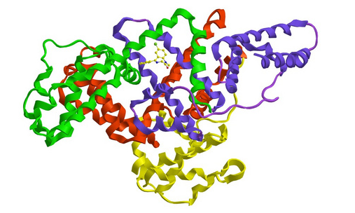 人血清白蛋白-PEG-甲氨蝶呤 人血清白蛋白-PEG-甲氨蝶呤