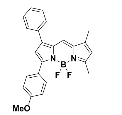 Bodipy545/565