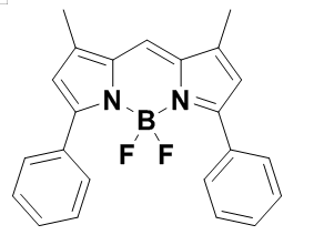 Bodipy-550/580，BDP染料550/580 齐岳氟硼二吡咯(BODIPY)类荧光染料定制