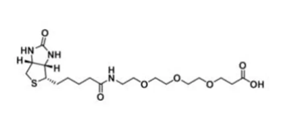 Biotin-PEG3-acid，，生物素-PEG3-羧酸，Biotin-PEG3-COOH，生物素化试剂，可与胺附着分子反应