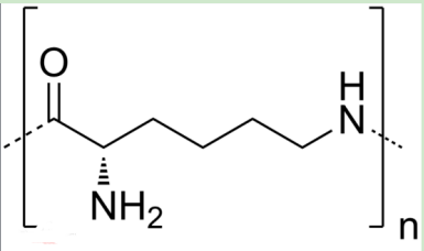 茴香酰胺-聚乙二醇-聚赖氨酸 