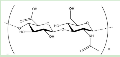 奥司他韦-聚乙二醇-透明质酸