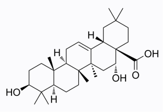 cas:510-30-5 Echinocystic acid
