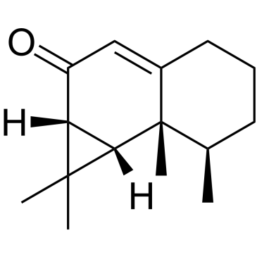马兜铃酮	 