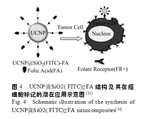 稀土掺杂上转换氟化物纳米材料