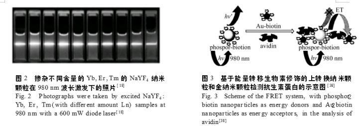 稀土掺杂上转换氟化物纳米材料