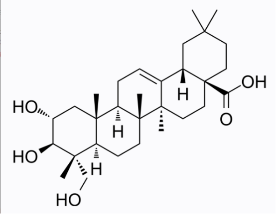 cas:465-00-9 Arjunolic acid 阿酚酸