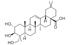 活化氧Arjunolic Acid，阿江榄仁酸，CAS：465-00-9