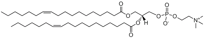 18:1(11-cis) PC|1,2-divaccenoyl -sn-glycero-3-phosphocholine|PC磷脂
