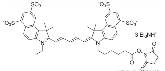 Dextran-CY5.5 