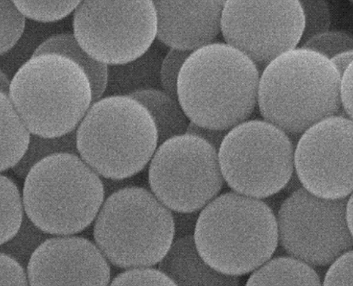 链霉亲和素-聚苯乙烯微球  Streptavidin Polystyrene Particles