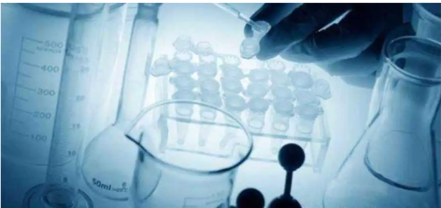 Methacrylate-PEG-NHS