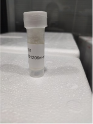 D-生物素