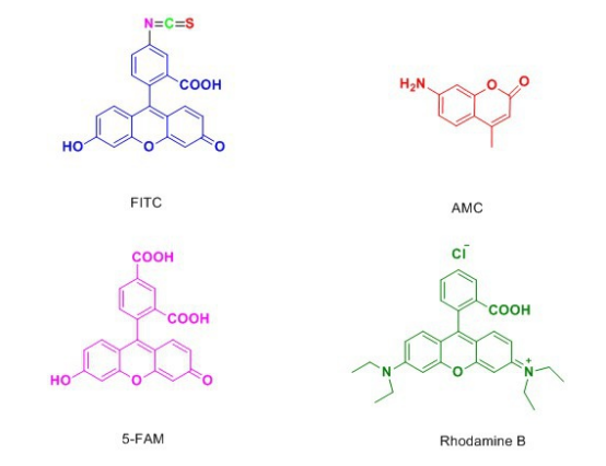NH2-PEG-Cy5
