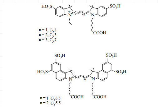 Thiol-PEG-CY7