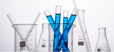 Lectins-PEG-Chitosan