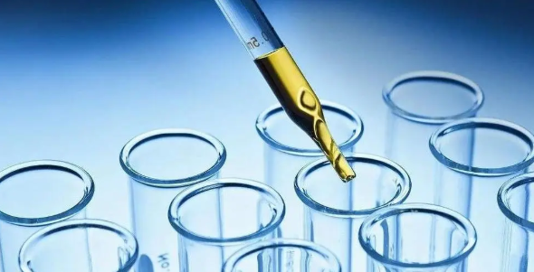 Lectins-PEG-DOX