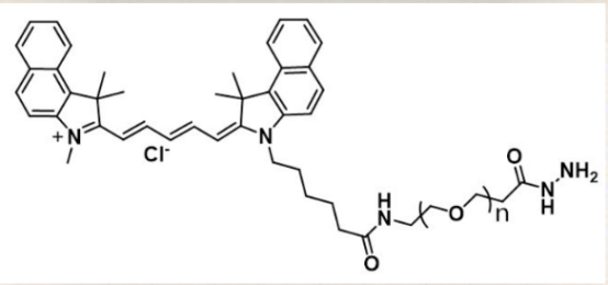 CY5.5-PEG-HZ