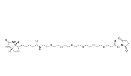 Biotin-PEG6-NHS ester