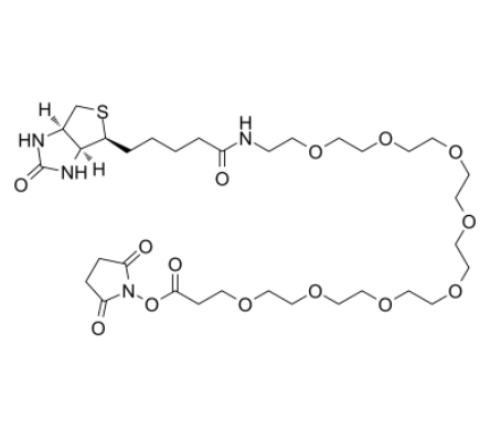 Biotin-PEG8-NHS ester