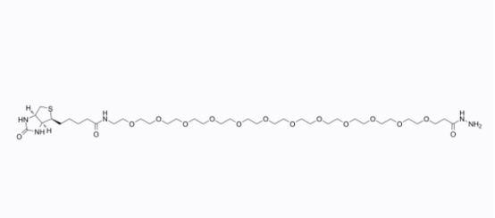 Biotin-PEG12-hydrazide