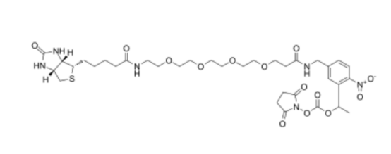 PC-Biotin-PEG4-PEG4-alkyne