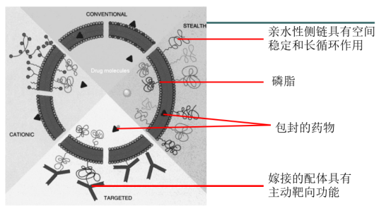 奥沙利铂长循环脂质体