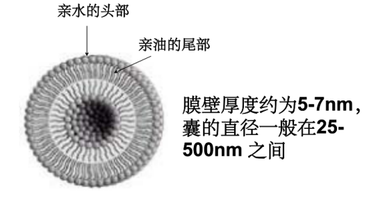 曲安奈德壳聚糖脂质体