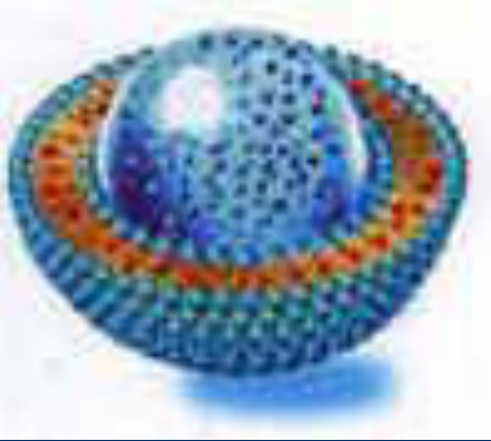 阿昔洛韦脂质体Liposomes
