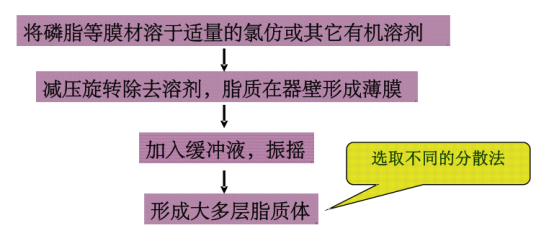 阿苯达唑脂质体 (L -ABZ)