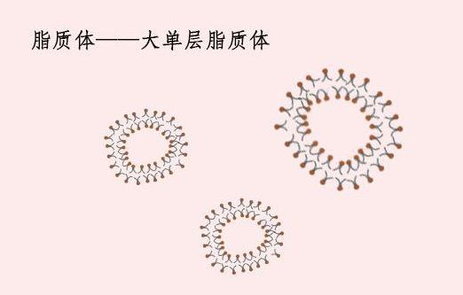 胰岛素纳米脂质体 liposome