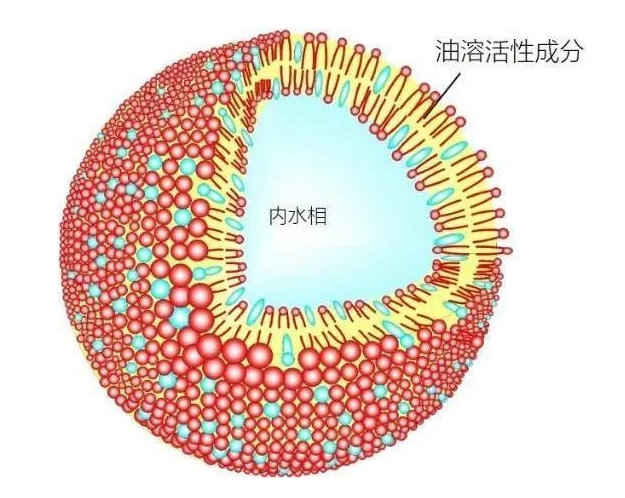白藜芦醇纳米脂质体