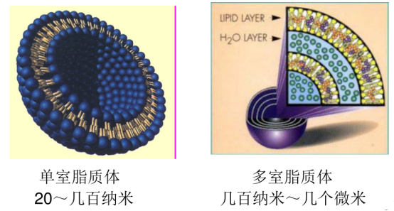 盐酸左氧氟沙星脂质体