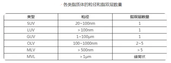 DiI标记的脂质体