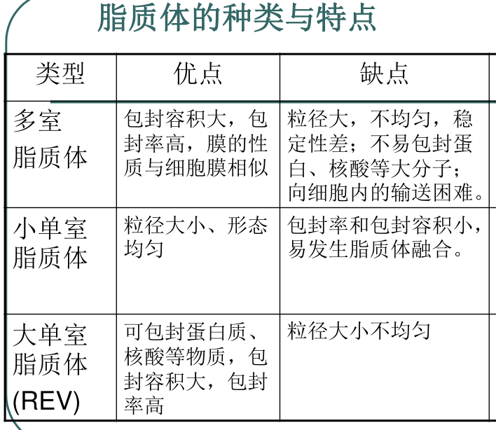 CY7标记的脂质体