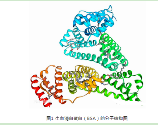 醛基PEG牛血清白蛋白