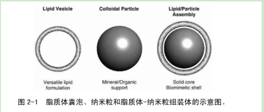 巨型单分子囊泡GUV 
