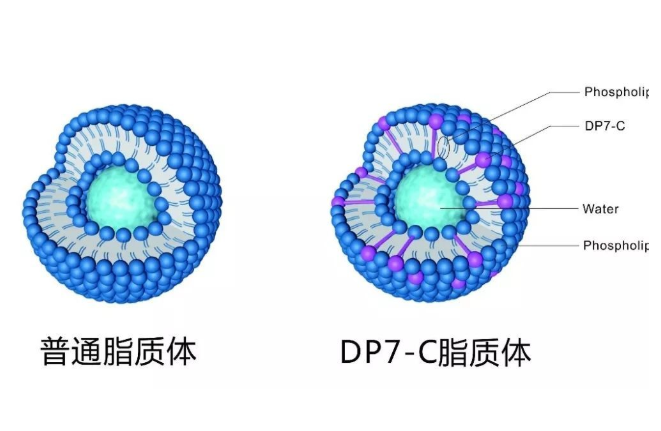 13:0 Diether PC:Chol (70:30) Liposomes 