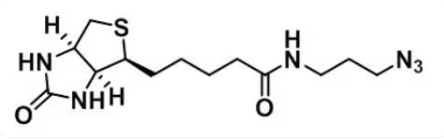 Biotin Azide