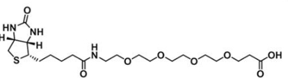 CAS:721431-18-1；生物素四聚乙二醇丙酸；(+)-Biotin-PEG4-Acid