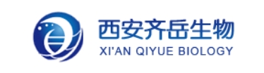 CAS:1245718-89-1；叠氮三聚乙二醇活性酯；N3-PEG3-NHS