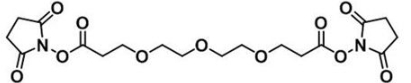 CAS:1314378-16-9；双-三聚乙二醇-酯；Bis-PEG3-NHS ester