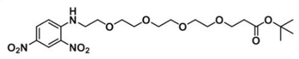 CAS:1817735-31-1；COOtBu-PEG4-DNP；DNP-PEG4-t-butyl ester