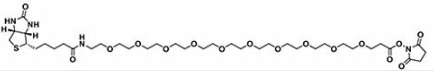 生物素十聚乙二醇活性酯；Biotin-PEG10-NHS ester；(+)-Biotin-PEG10-NHS Ester